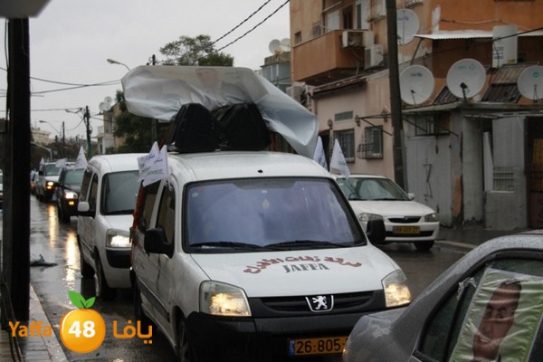 qafela sayarat haiywa (34).JPG